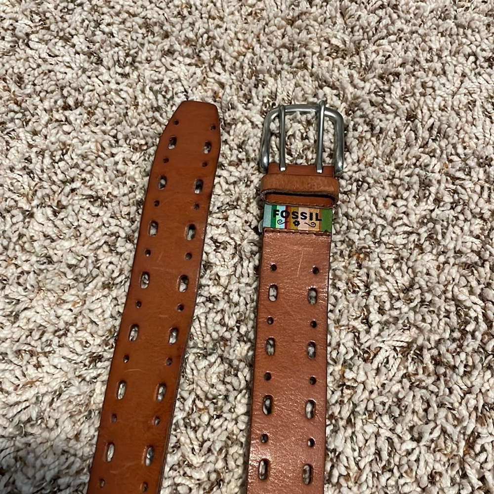 Fossil Belt